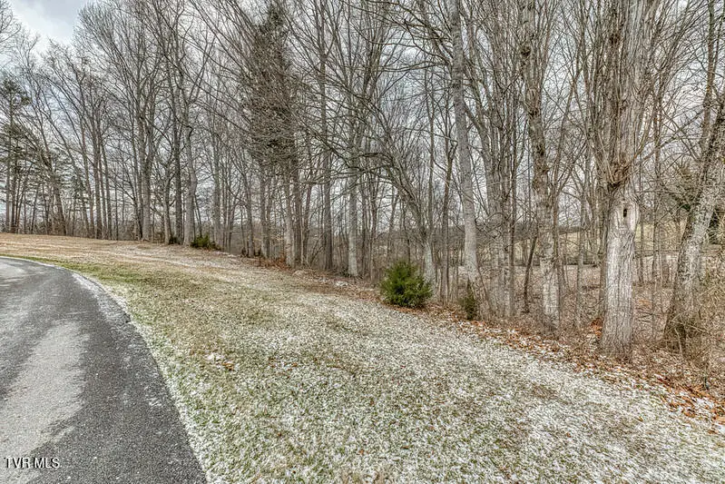 Tbd Victor Drive, Johnson City, TN 37601 - Image #2