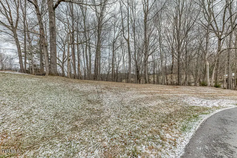 Tbd Victor Drive, Johnson City, TN 37601 - Image #3