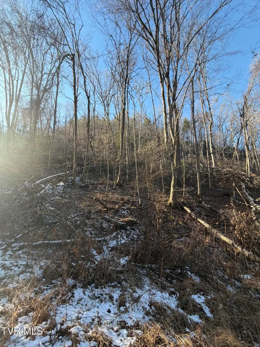 Tbd W Of Williams Lane, Butler, TN 37640 - Image #2