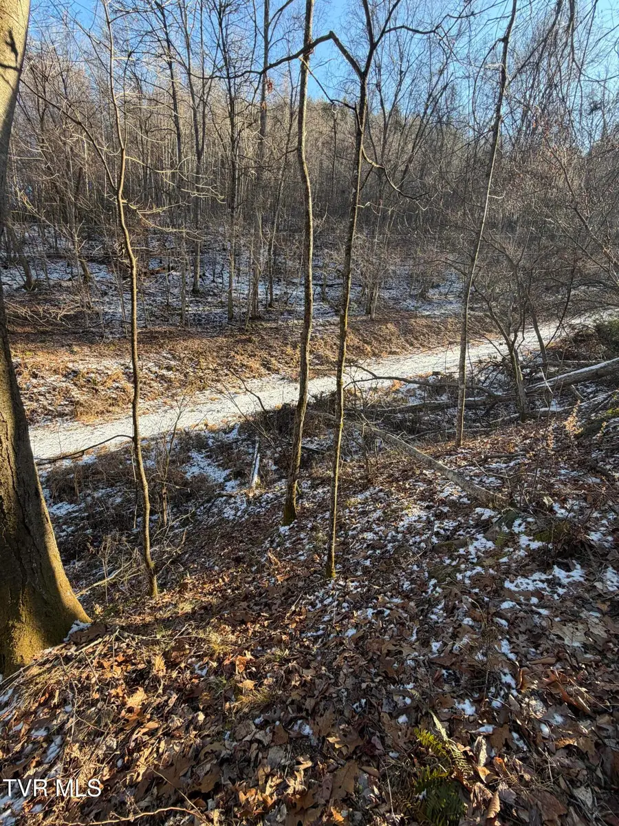 Tbd W Of Williams Lane, Butler, TN 37640 - Image #3