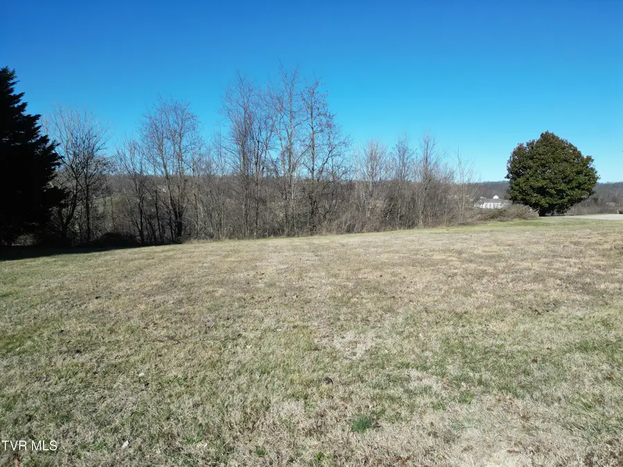 126 Chestnut Ridge Drive, Jonesborough, TN 37659 - Image #3