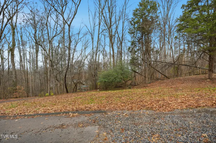 Tbd Bayhill Dr Drive, Piney Flats, TN 37686 - Image #3