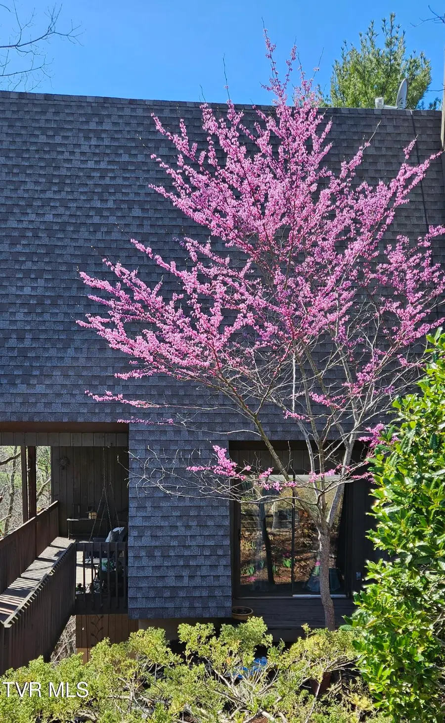 323 Hickory Bluff, Johnson City, TN 37601 - Image #2