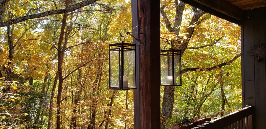 323 Hickory Bluff, Johnson City, TN 37601 - Image #3