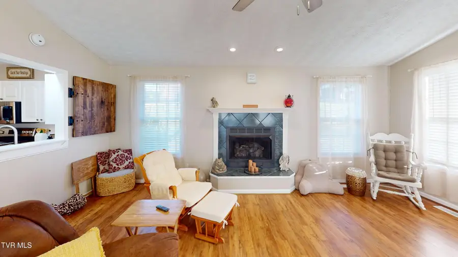 167 Highland Hills Drive, Gray, TN 37615 - Image #3