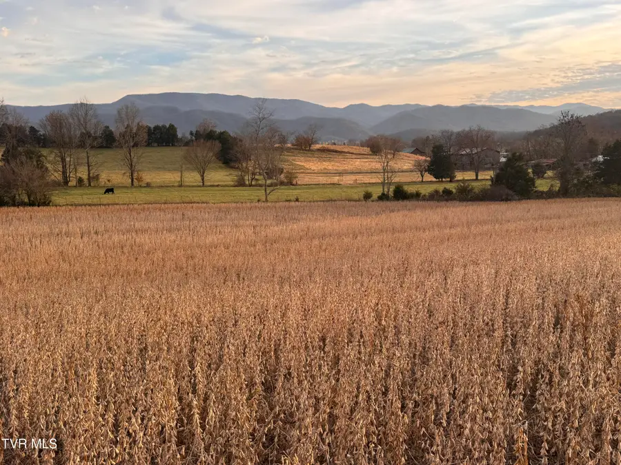 0 Pleasant Hill Road, Chuckey, TN 37641 - Image #2