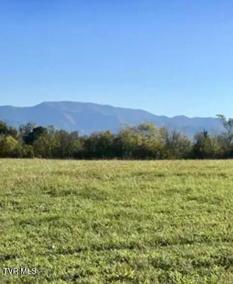 185 Lester Snapp Road #Lot 1, Limestone, TN 37681
