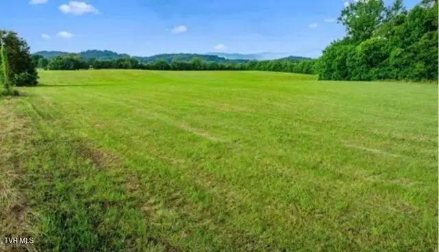 185 Lester Snapp Road #Lot 1, Limestone, TN 37681 - Image #3