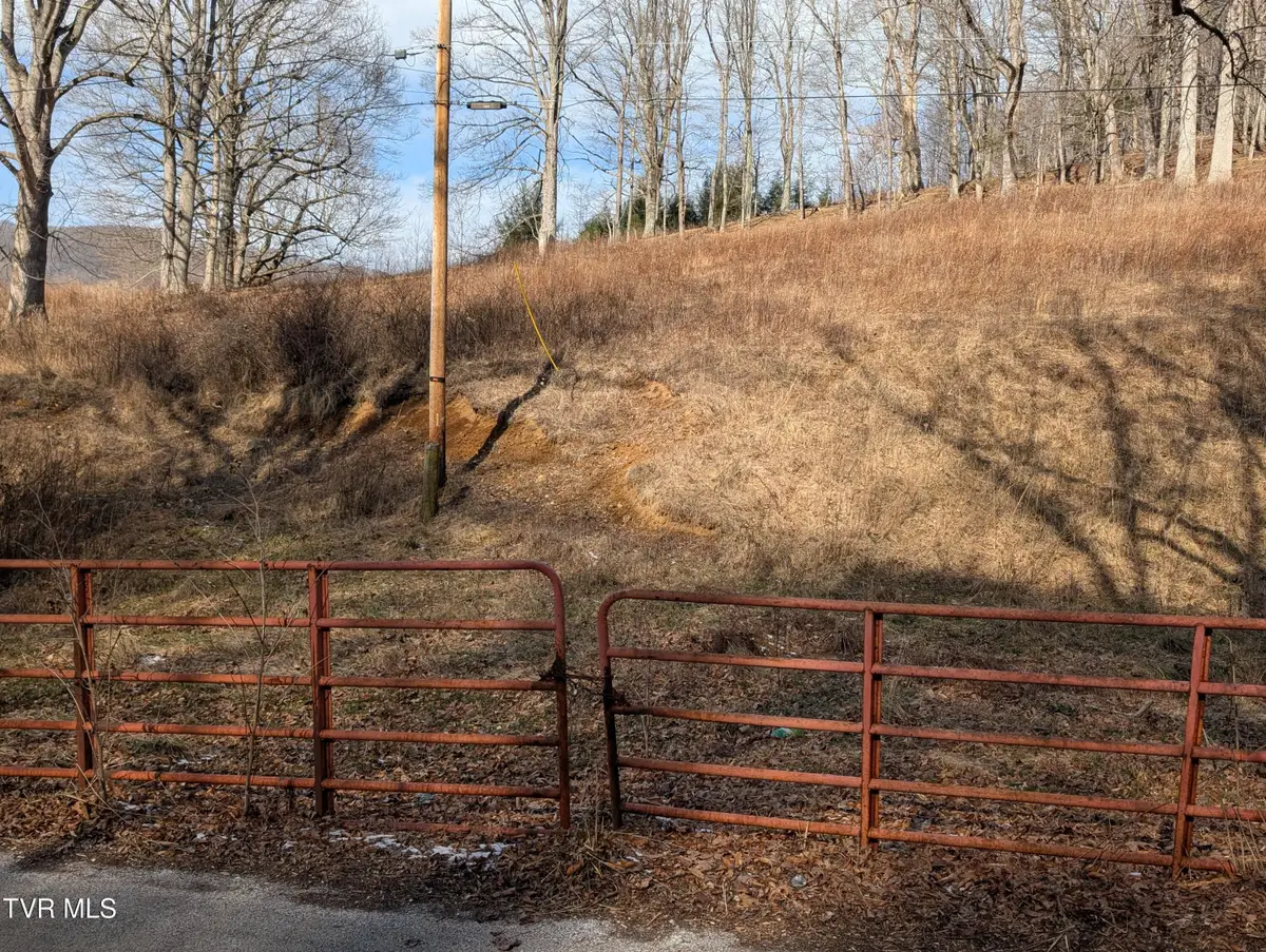 Tbd Heaton Ridge Road, Roan Mountain, TN 37687 - Image #1