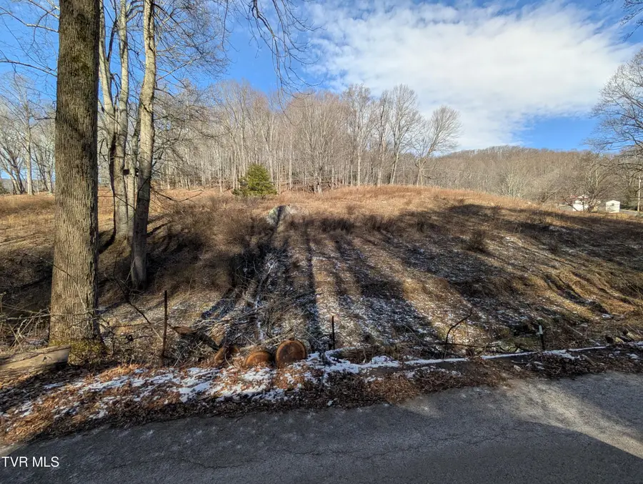 Tbd Heaton Ridge Road, Roan Mountain, TN 37687 - Image #3
