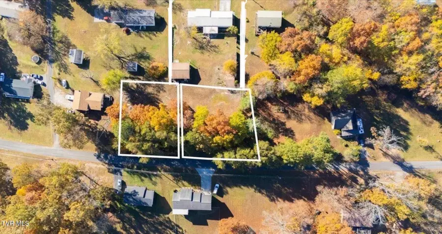 274 Idlewild Drive, White Pine, TN 37890 - Image #3