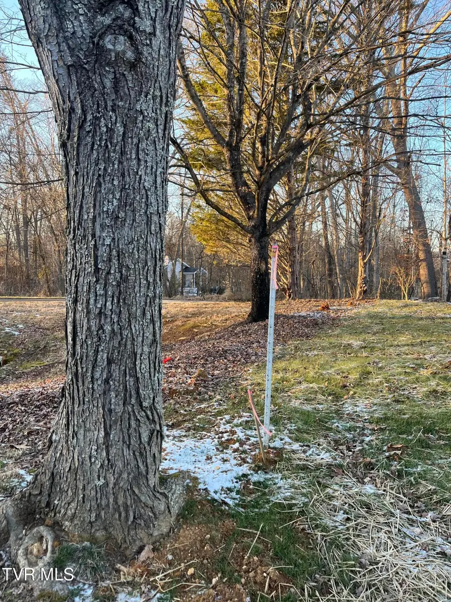 101 Lexington Court, Greeneville, TN 37745 - #3