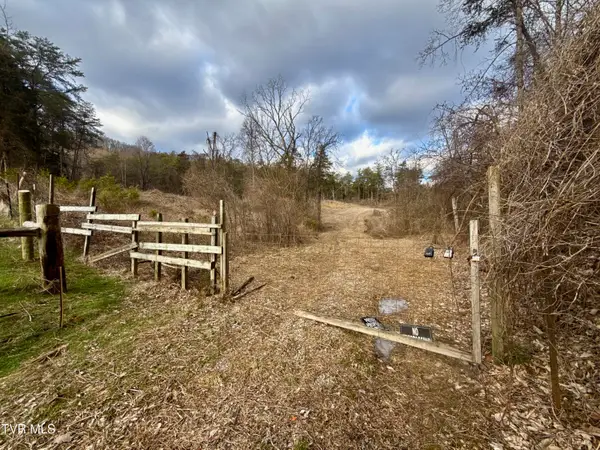 25/Ac Tbd Coy Bradley Lane, Bulls Gap, TN 37711