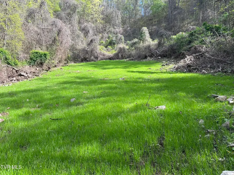 0 Christians Bend Road, Church Hill, TN 37642 - Image #2