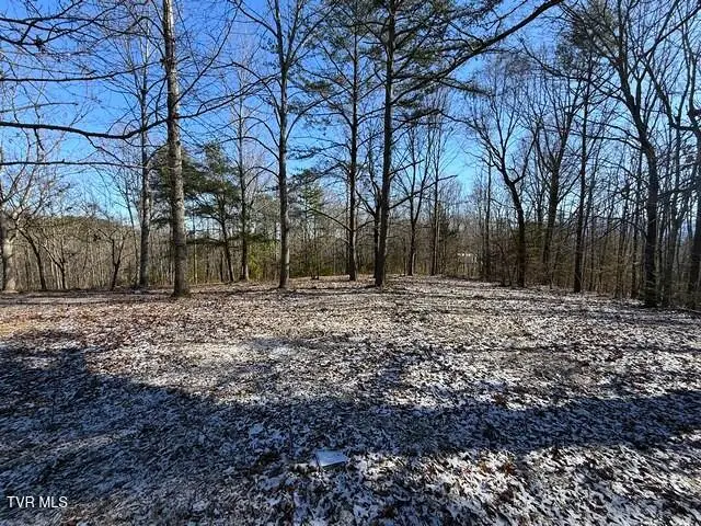 Lot 15 Under The Sun Road, Cosby, TN 37722 - #2