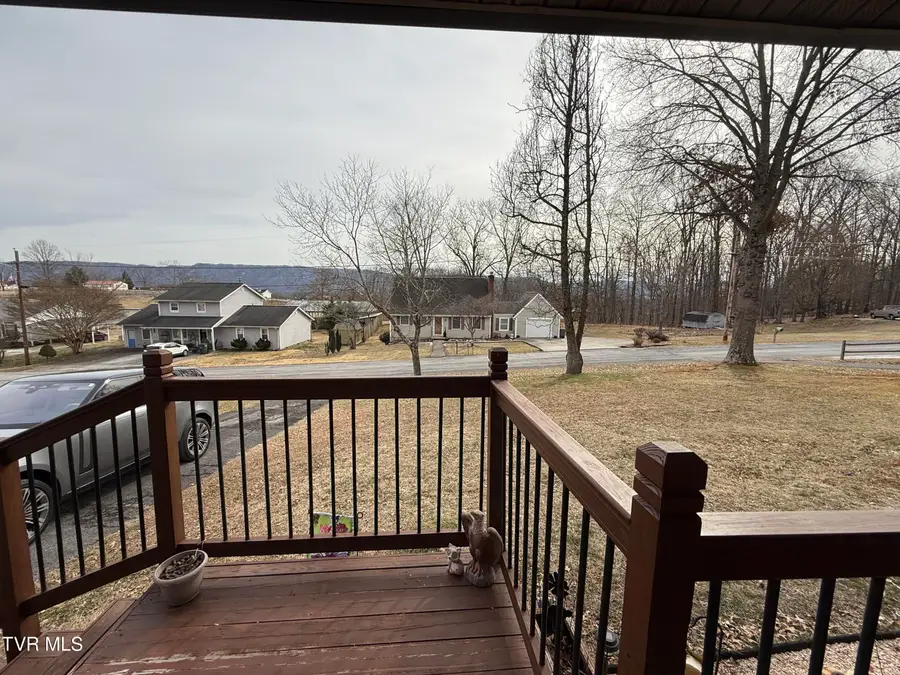 216 Willow Street, Mount Carmel, TN 37645 - #3