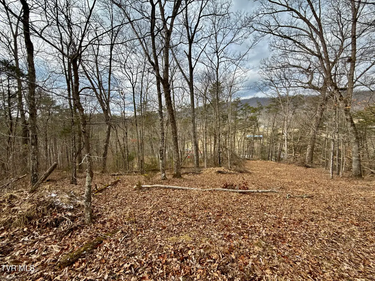 25/Ac Tbd Horton Highway, Chuckey, TN 37641 - Image #1