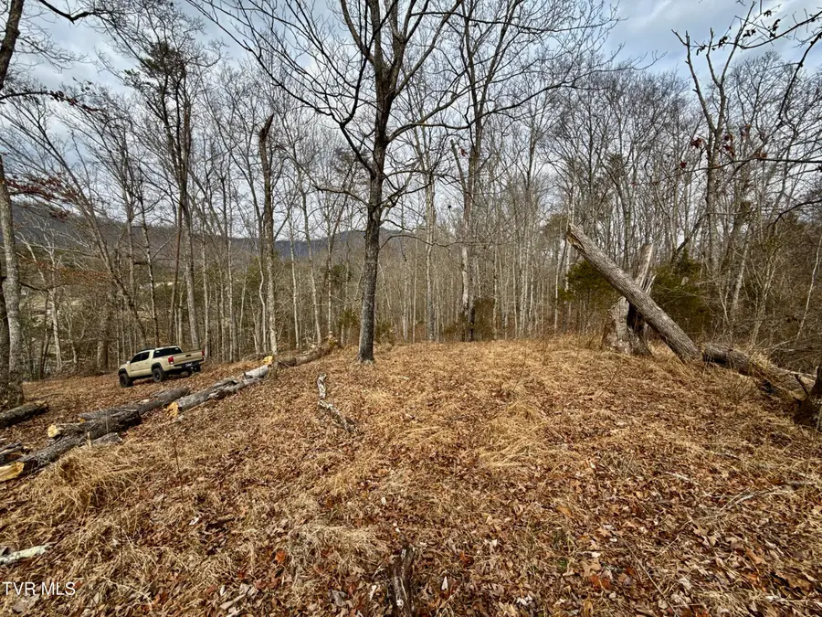 25/Ac Tbd Horton Highway, Chuckey, TN 37641 - Image #3