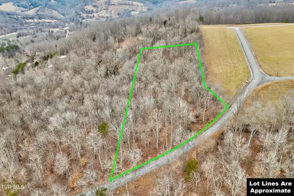 Lot 306 Sapphire Court, New Tazewell, TN 37825
