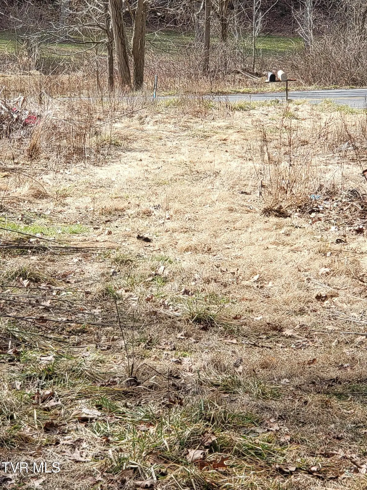 1271 Upper Higgins Cr Road, Flag Pond, TN 37657 - #1