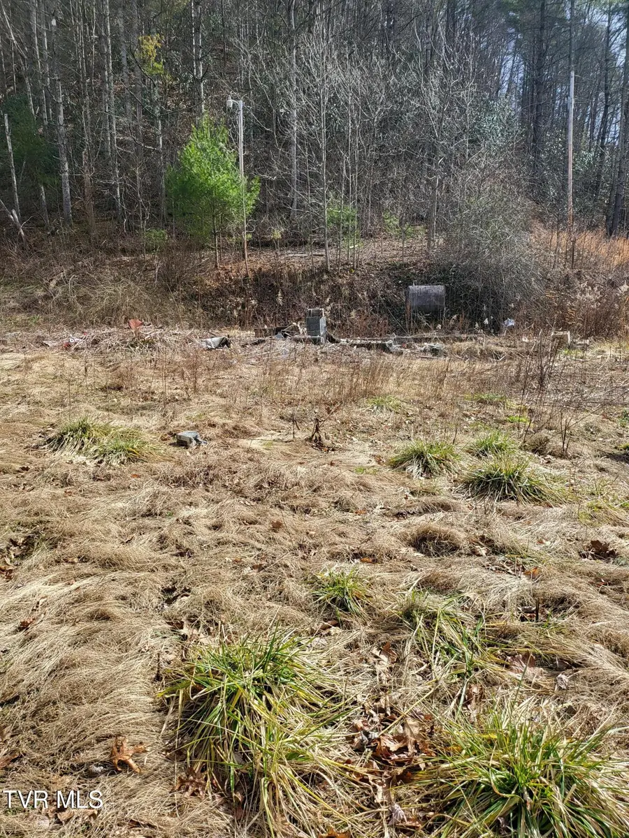 1271 Upper Higgins Cr Road, Flag Pond, TN 37657 - #2