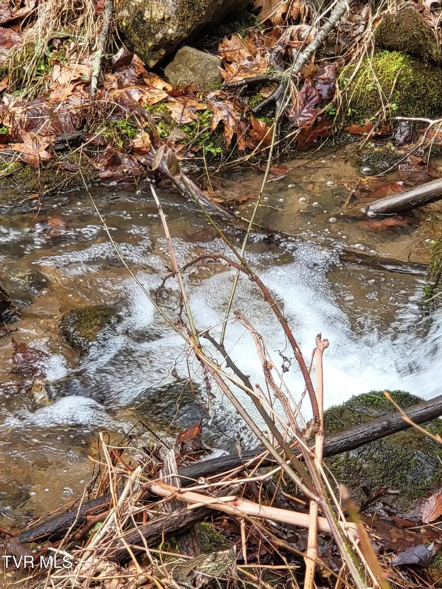 1271 Upper Higgins Cr Road, Flag Pond, TN 37657 - #3