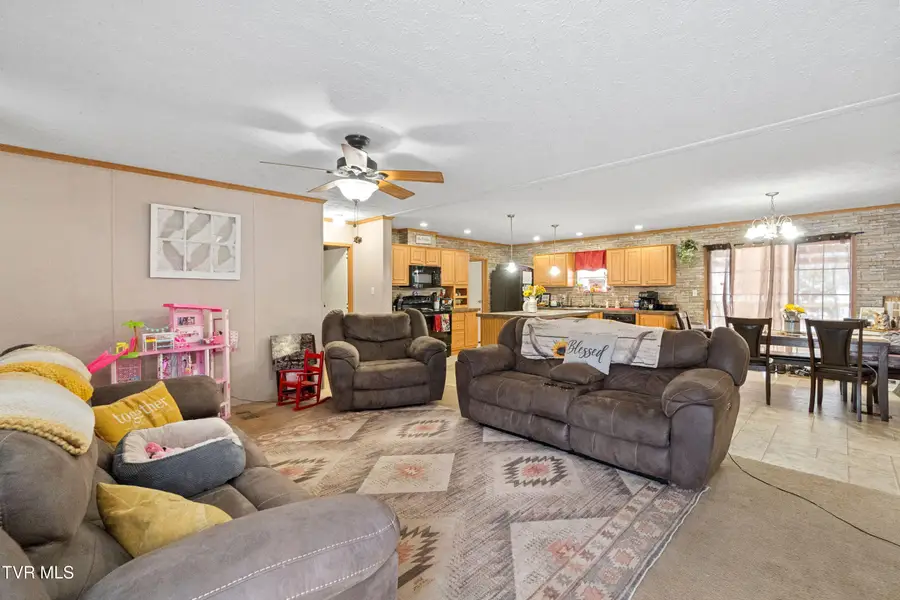 3363 Babbs Mill Road, Afton, TN 37616 - #3