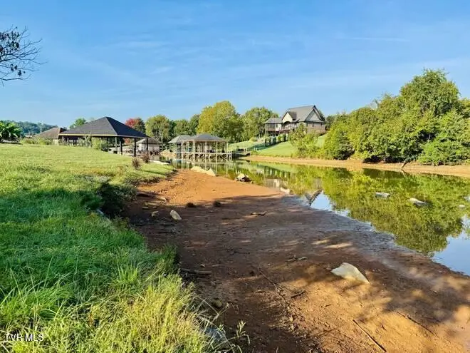 164 North Forest Lane, Blountville, TN 37617 - #3