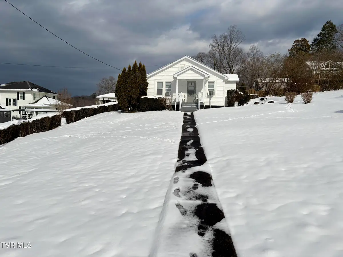 313 School Street, Erwin, TN 37650 - #1