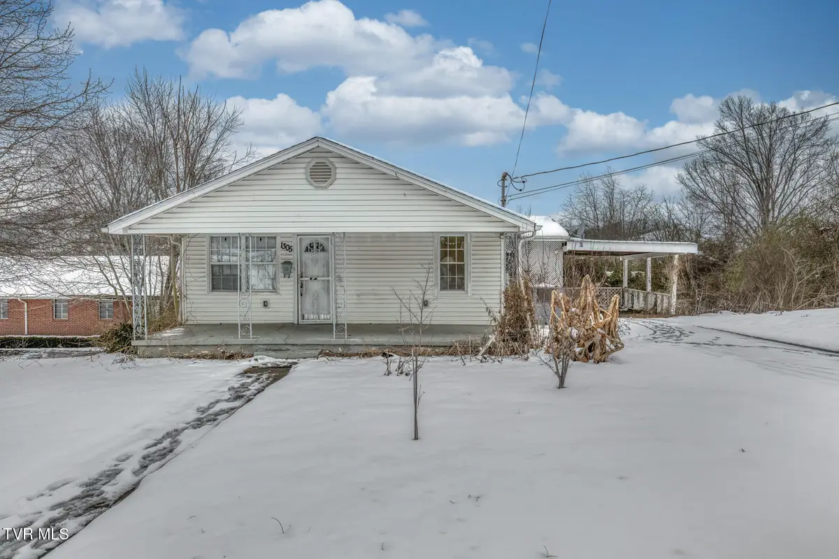 1305 Saint Louis Street, Johnson City, TN 37601 - Image #1