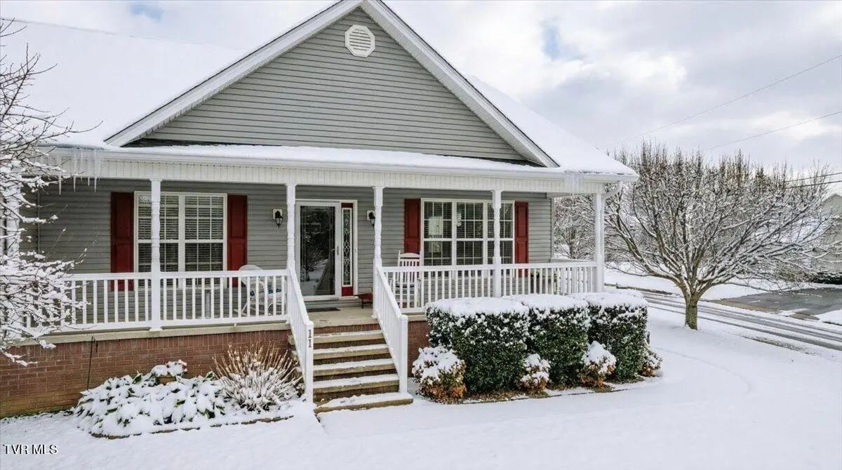 11 Vesta Sue Court, Jonesborough, TN 37659 - #1