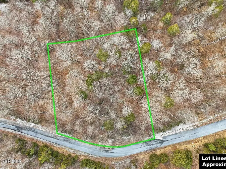 Lot 499 Citron Lane, New Tazewell, TN 37825 - #2