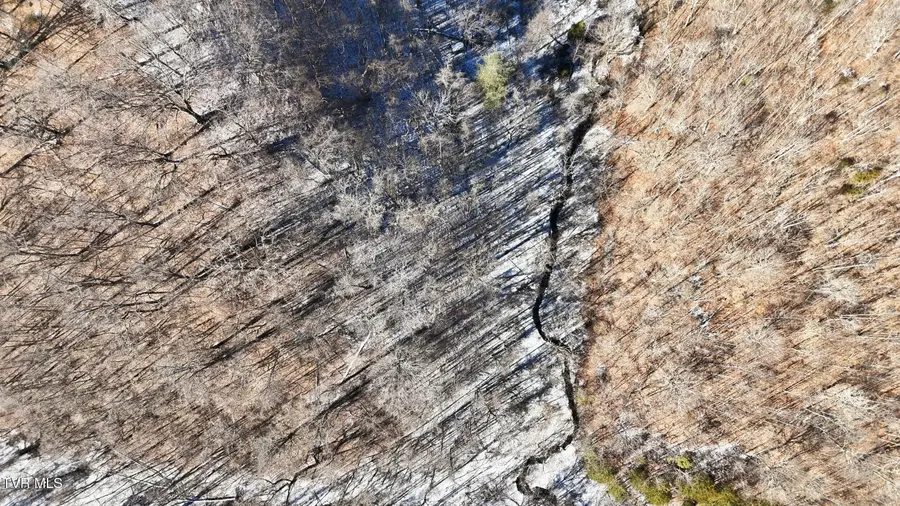 Tbd Hen Reasor Road, Big Stone Gap, VA 24219 - #3