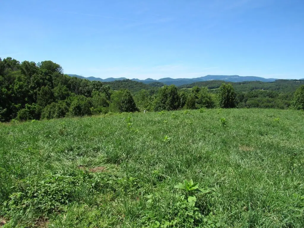 Lot 5a Logan Creek Road, Meadowview, VA 24361 - #1