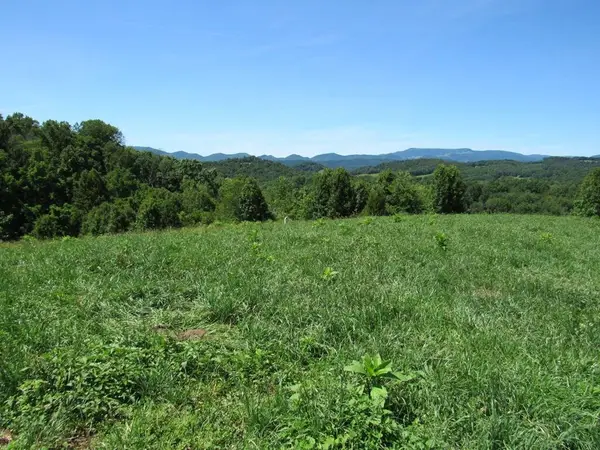 Lot 5a Logan Creek Road, Meadowview, VA 24361