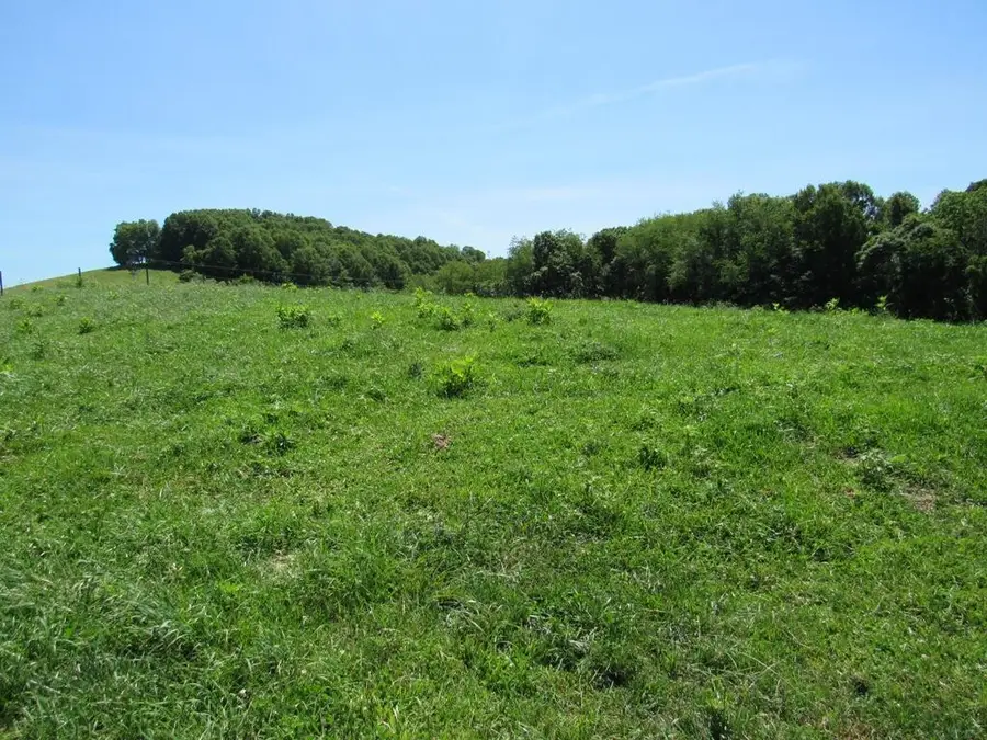 Lot 5a Logan Creek Road, Meadowview, VA 24361 - #2