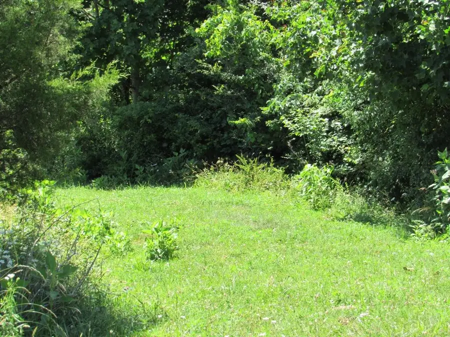 Lot 5a Logan Creek Road, Meadowview, VA 24361 - #3