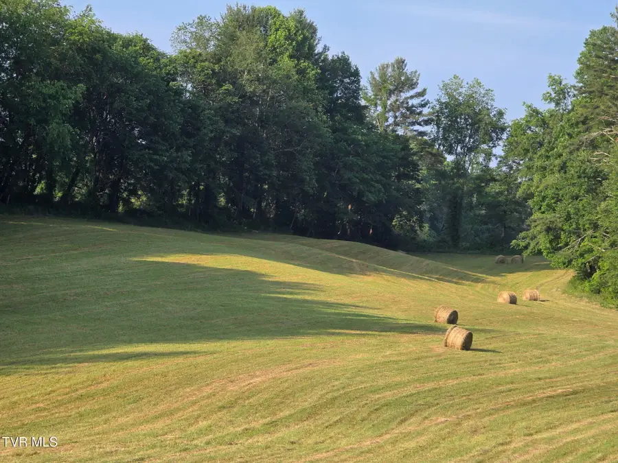 Tbd A Davis Lane, Mountain City, TN 37683 - #2