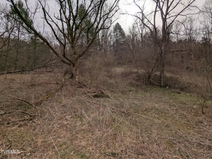 1674 Shavers Ford Road, Jonesville, VA 24263 - Image #2