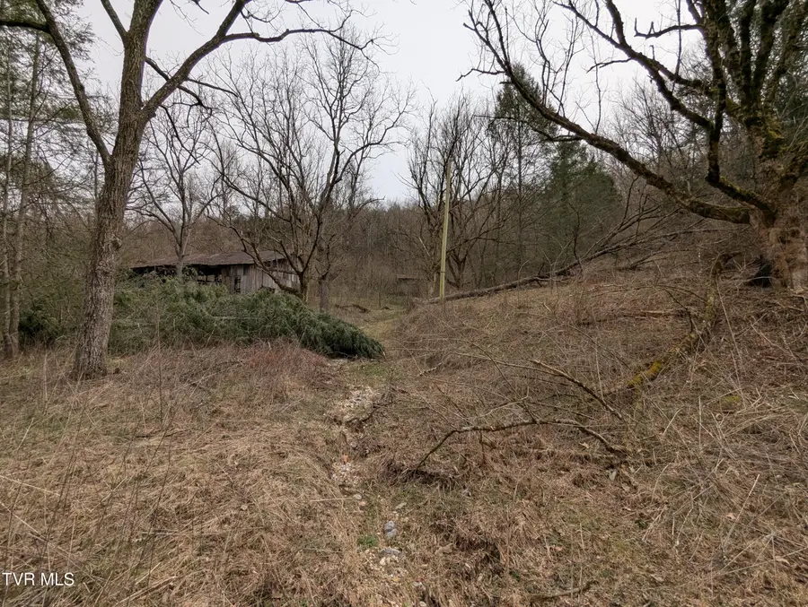 1674 Shavers Ford Road, Jonesville, VA 24263 - Image #3