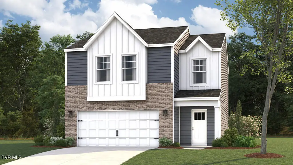 135 Mint Court, Bluff City, TN 37618 - #1