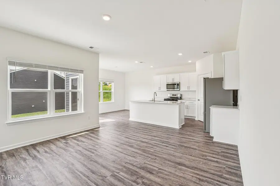 135 Mint Court, Bluff City, TN 37618 - #2