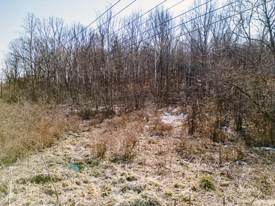 000 Highway 81, Jonesborough, TN 37659 - Image #3