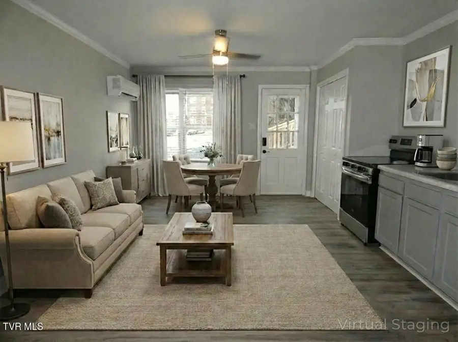 31157 Princeton Avenue, Meadowview, VA 24361 - Image #3