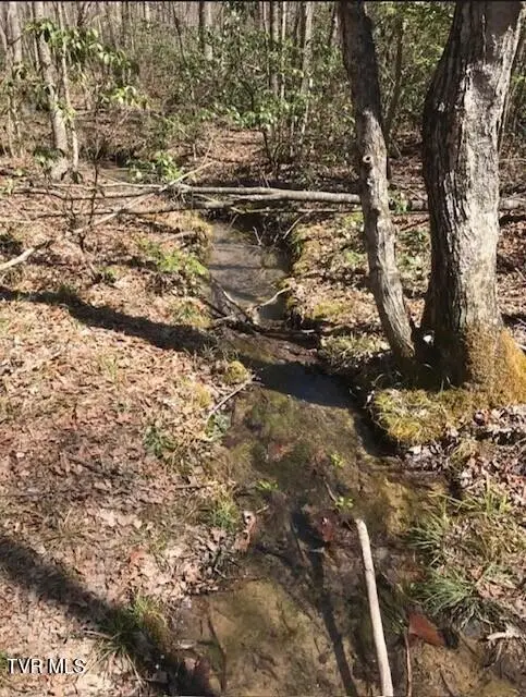 897 Parkstown Road, Wilder, TN 38589 - #1