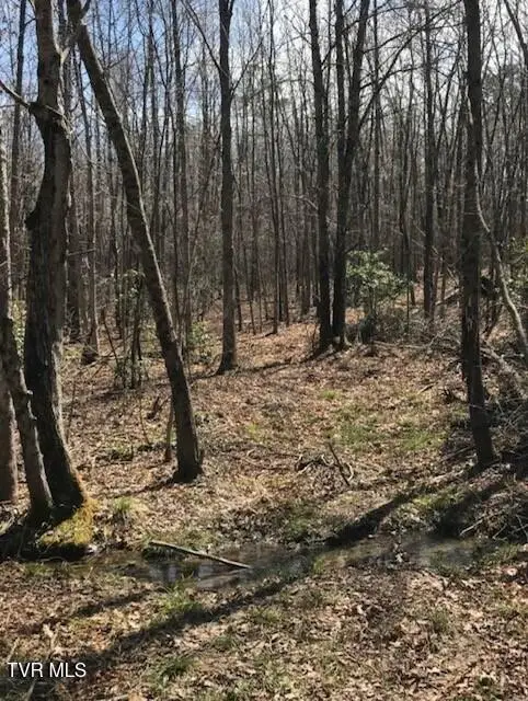 897 Parkstown Road, Wilder, TN 38589 - #2