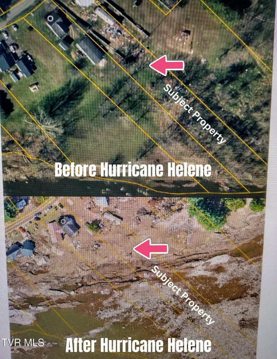 168 Bumpus Cove Road, Erwin, TN 37650 - #2