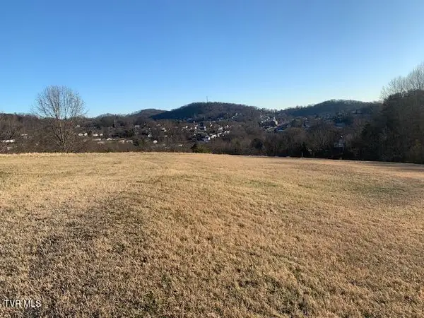 2005 Fairveiw Avenue, Kingsport, TN 37665