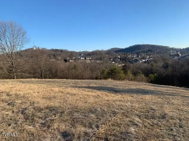 2005 Fairveiw Avenue, Kingsport, TN 37665 - #3