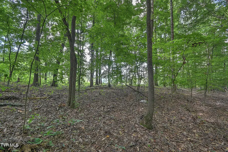 Tract 1, 2 Payne Ridge Road, Church Hill, TN 37642 - #2